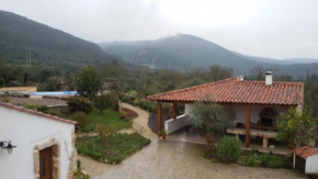 Quinta de São João